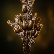 Organic Bladderwrack