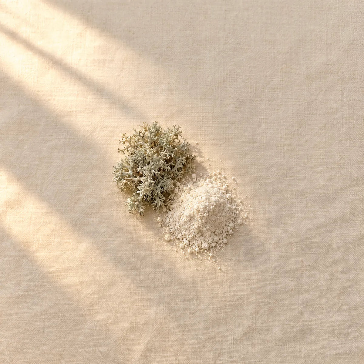 Vitamin D3 (VegD3®)