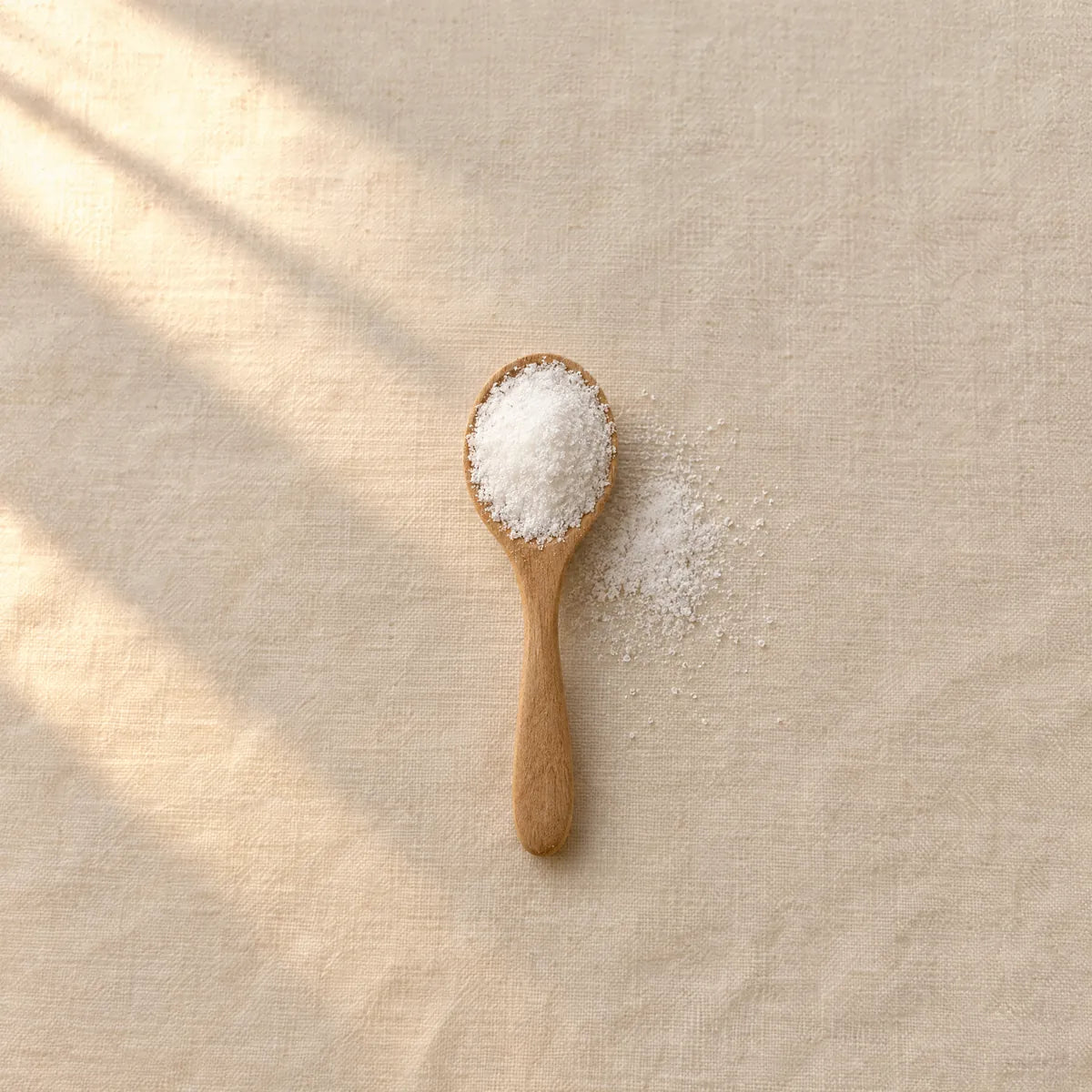 Nicotinamide Riboside